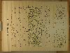 B 091.jpg